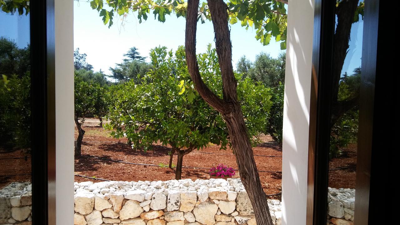 Agriturismo Voioro Farm stay *