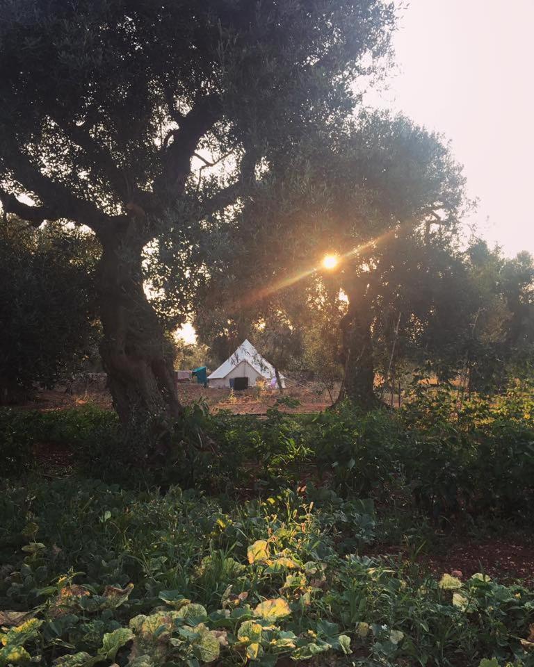 Agriturismo Voioro Farm stay *