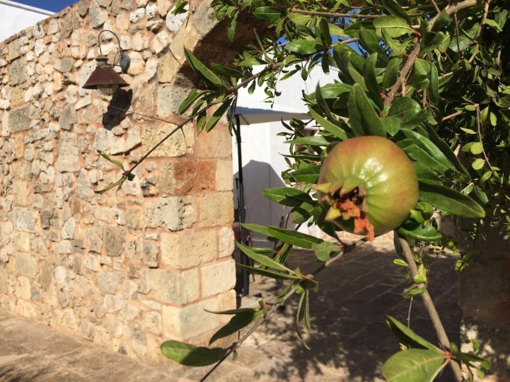Agriturismo Voioro Farm stay Morciano di Leuca