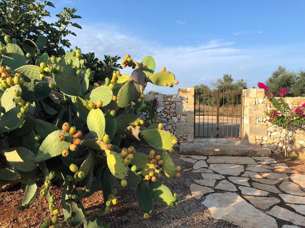 Agriturismo Voioro * Morciano di Leuca